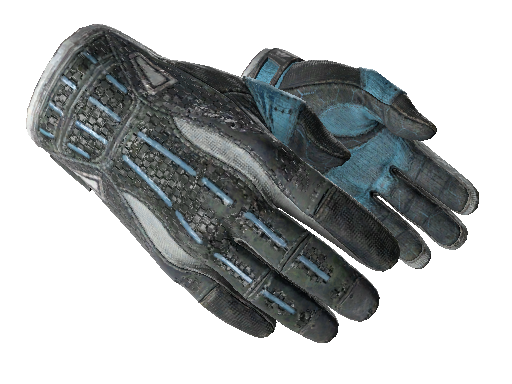 Sport Gloves | Superconductor