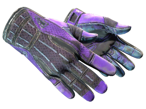 Sport Gloves | Pandora's Box