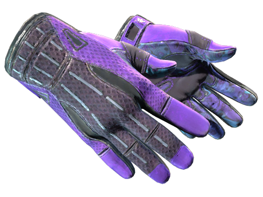 Sport Gloves | Pandora's Box