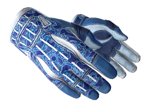 Sport Gloves | Amphibious