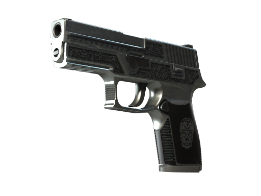 StatTrak™ P250 | Cartel