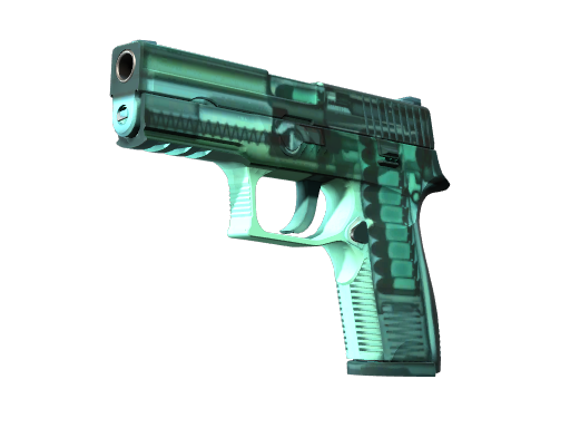 StatTrak™ P250 | Rentgen