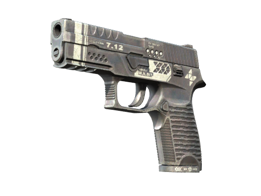 StatTrak™ P250 | Re.built