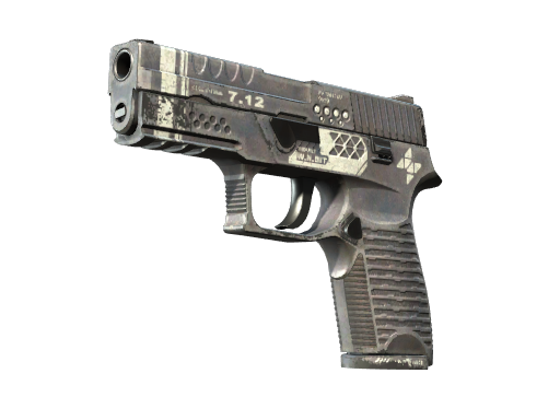 StatTrak™ P250 | Re.built