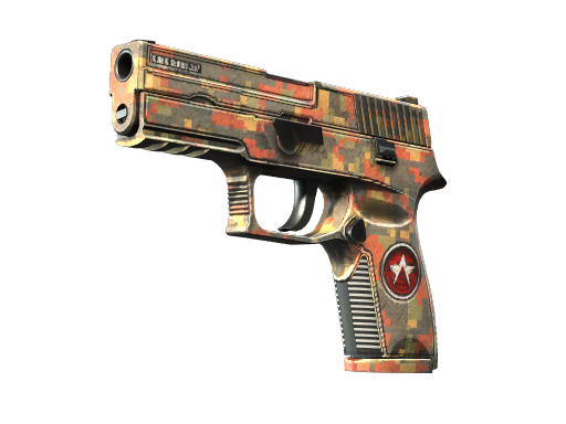 P250 | Red Rock