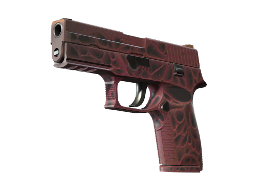 StatTrak™ P250 | Contaminant