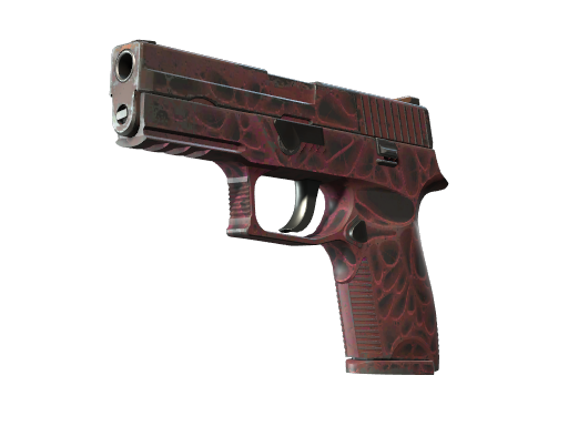 P250 | Schadstoff