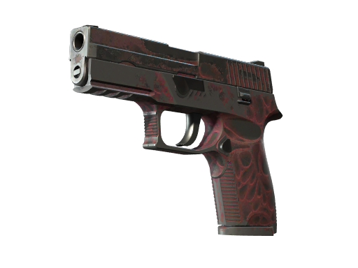 StatTrak™ P250 | Zanieczyszczenie