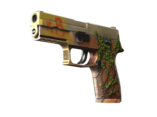 StatTrak™ P250 | Инферно