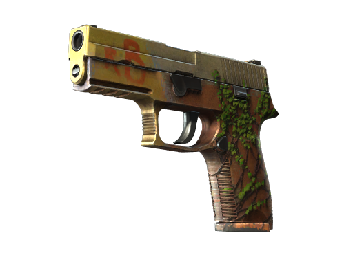 StatTrak™ P250 | Инферно