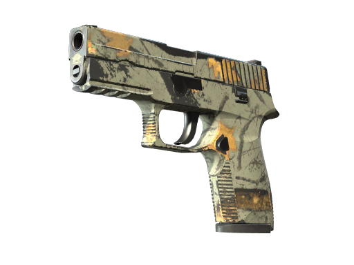 P250 | Modern Hunter