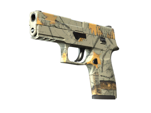 P250 | Chasseur moderne