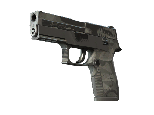 P250 | Facetten