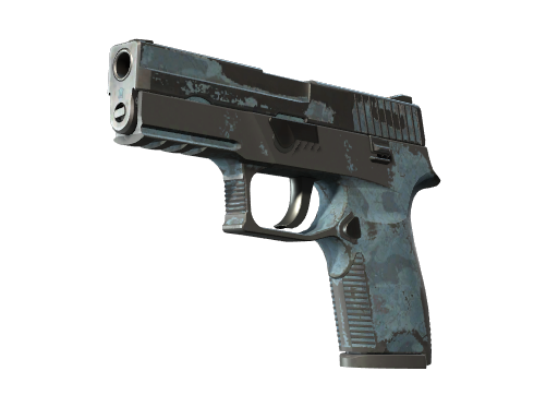 P250 | Лесная ночь