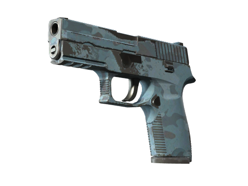 P250 | Лесная ночь