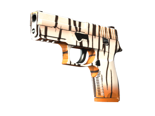 P250 | Tygrys bengalski