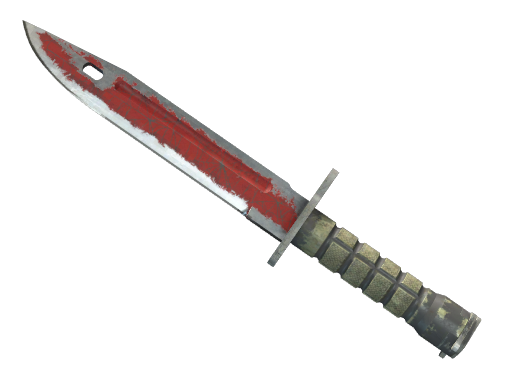 StatTrak™ ★ Bayonet | Crimson Web