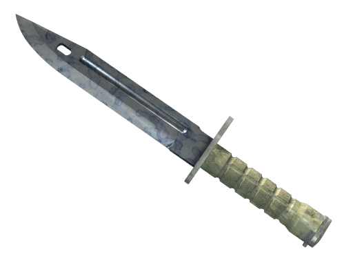 ★ Bayonet | Stained