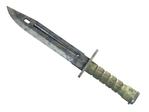 ★ Bayonet | Stained