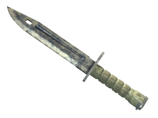 ★ Bayonet | Stained