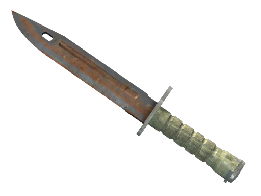 StatTrak™ ★ Bayonet | Rust Coat