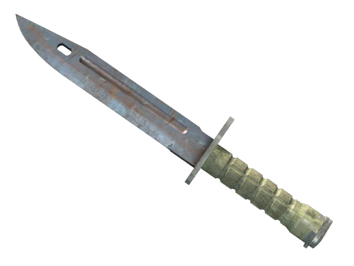 ★ Bayonet | Rust Coat