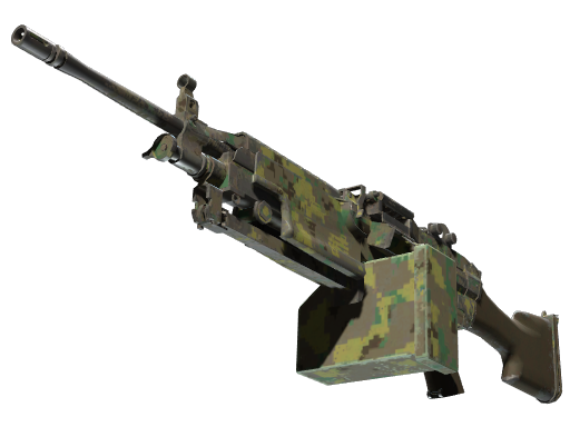 M249 | Jungle numérique