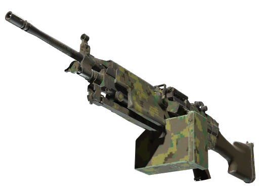 M249 | Jungle numérique