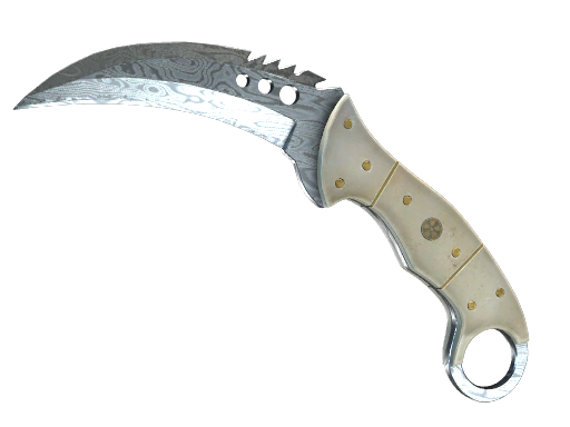 StatTrak™ ★ Talon Knife | Damascus Steel