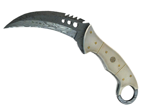 StatTrak™ ★ Talon Knife | Damascus Steel