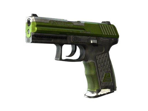 StatTrak™ P2000 | Gazon