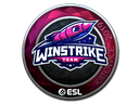 Sticker | Winstrike Team (Foil) | Katowice 2019