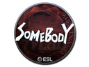 Sticker | somebody (Foil) | Katowice 2019