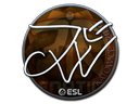 Sticker | JW (Foil) | Katowice 2019