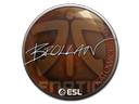 Sticker | Brollan | Katowice 2019