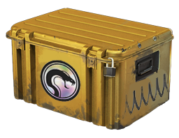 Recoil Case