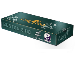 Souvenirpaket: ELEAGUE Boston 2018 – Cobblestone