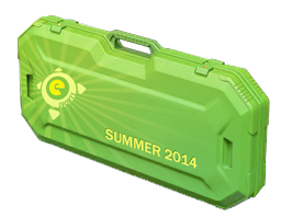 Letnia walizka e-sportowa 2014
