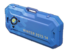 Zimowa walizka e-sportowa 2013