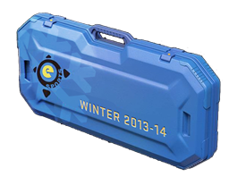 eSports 2013 Winter Case