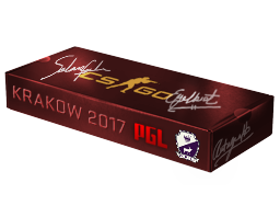 Сувенирный набор «PGL Krakow 2017 Cobblestone»