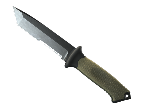 StatTrak™ ★ Ursus Knife