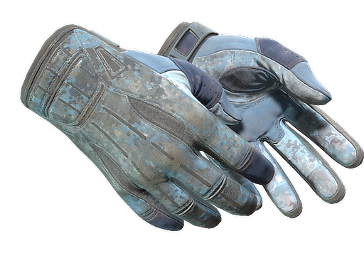 ★ Sport Gloves | Frosty