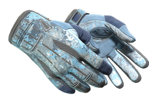 ★ Sport Gloves | Frosty